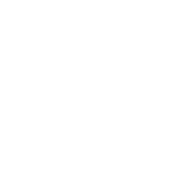 TSE