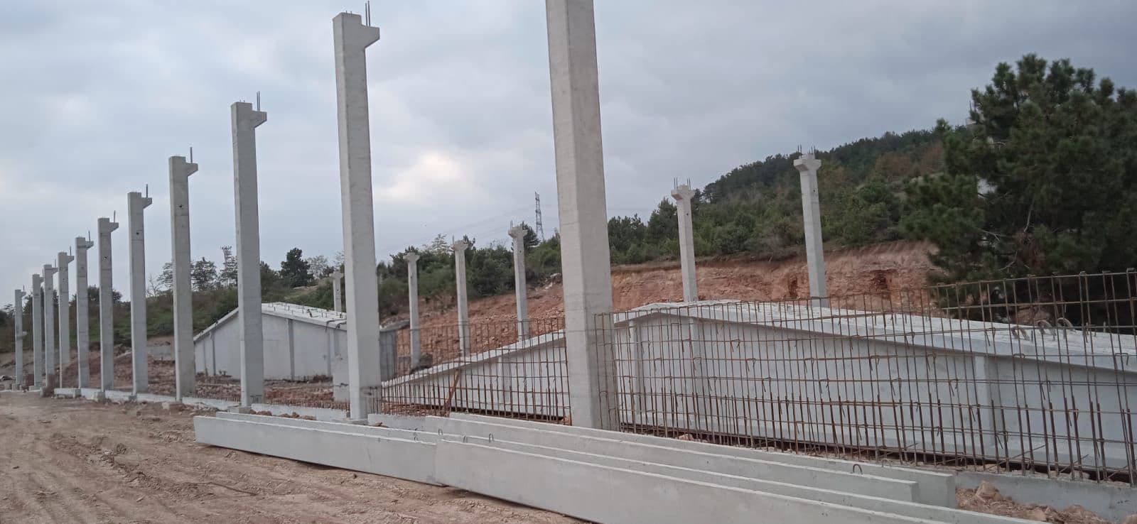 IŞIK ORGANİK — görsel 8