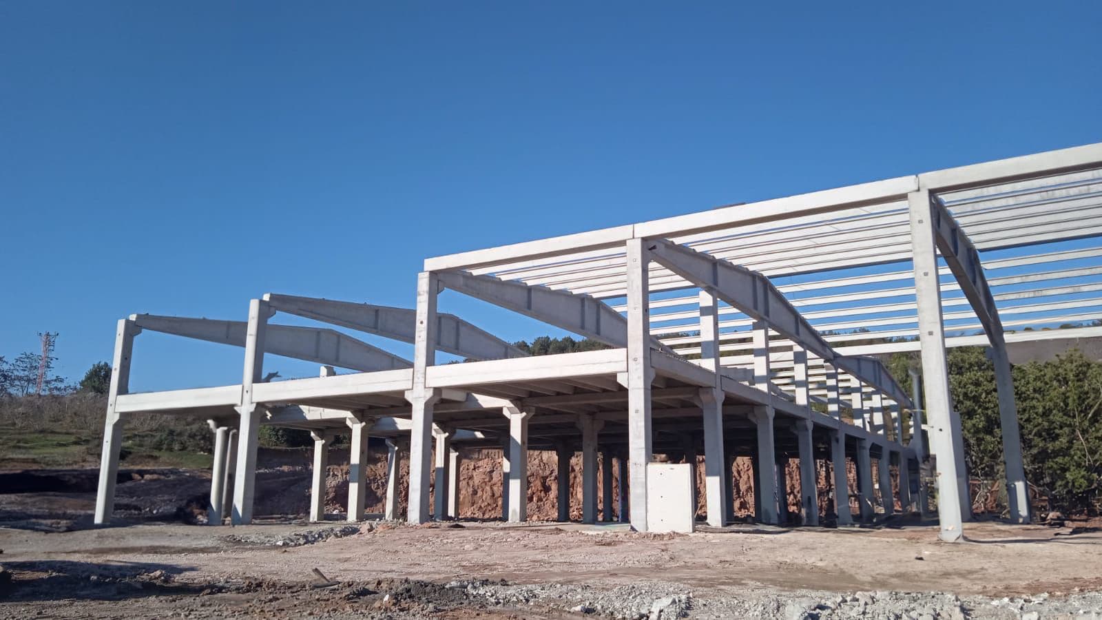 IŞIK ORGANİK — görsel 6