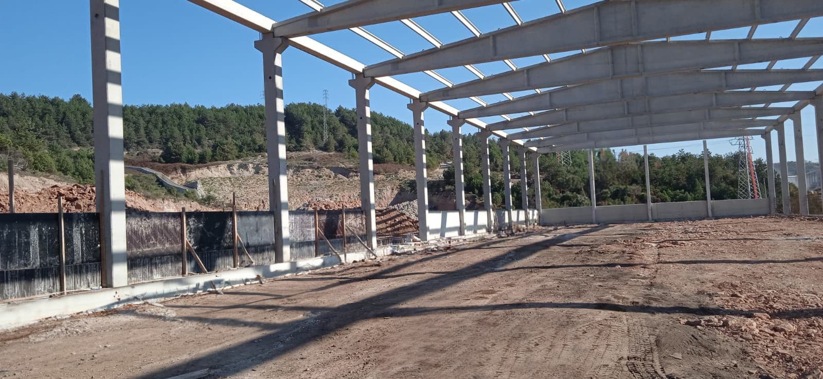 IŞIK ORGANİK — görsel 2